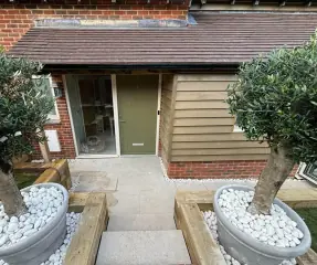 Landscaped front garden path with olive trees in planters
